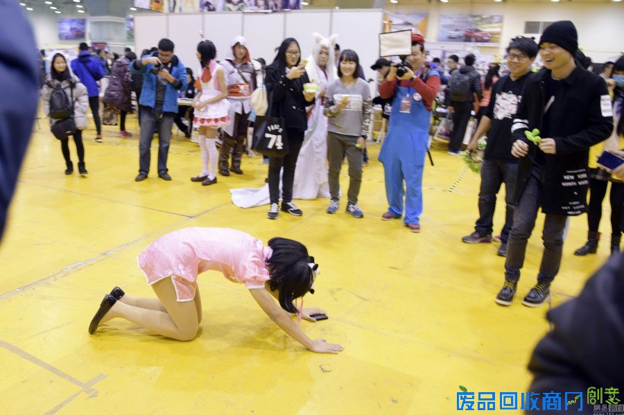 网红现身动漫节 女粉丝激动下跪磕头（图）