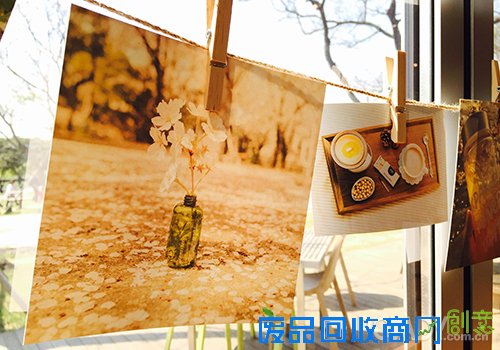 innisfree green photo tour悦诗风吟绿色韩国行