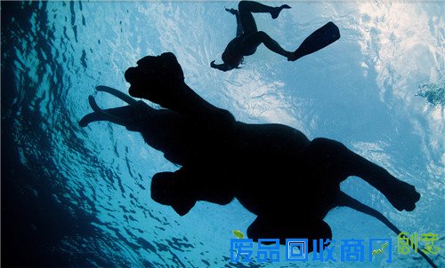 1434358869346808.jpg 8.jpg