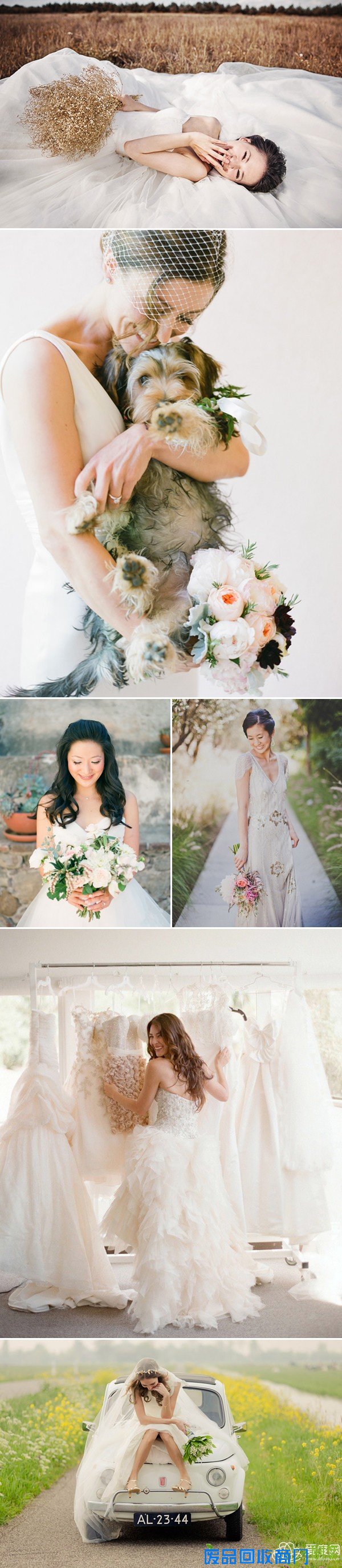 不要担心长的不够美 那是因为你的Pose没摆对