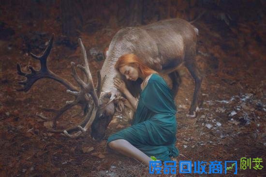 用生命拍照 真人版的美女与野兽