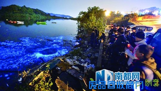 香港大埔现夜光藻奇观