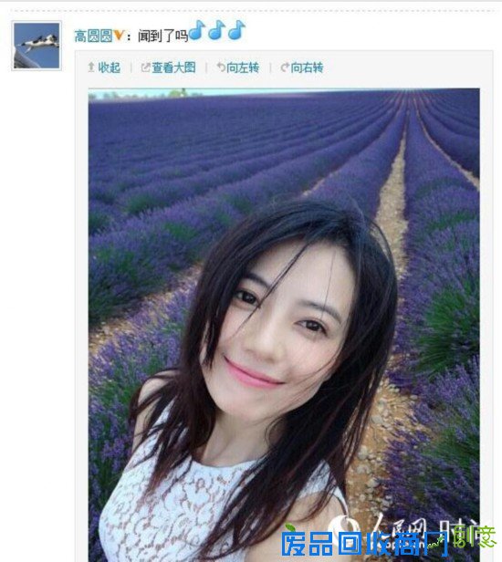 高圆圆花海自拍,干净的妆容在花海中显得尤为美好。