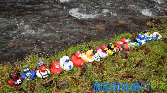 第二届德甲鸭子漂流赛