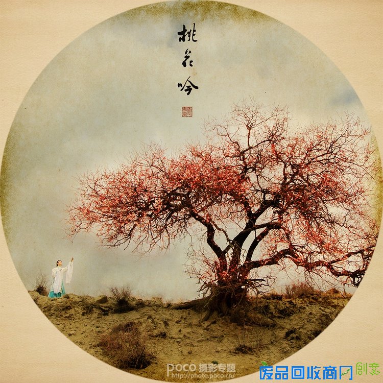 唯美桃花和人文宗教摄影技巧