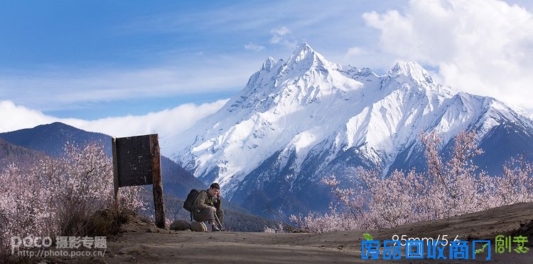 唯美桃花和人文宗教摄影技巧