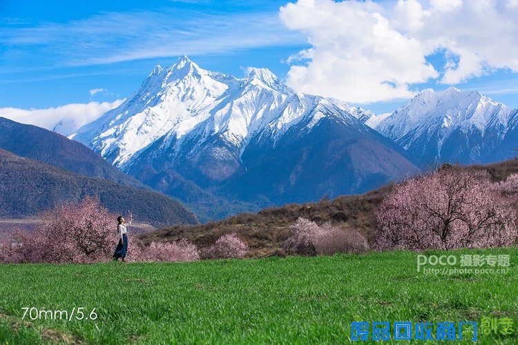 唯美桃花和人文宗教摄影技巧