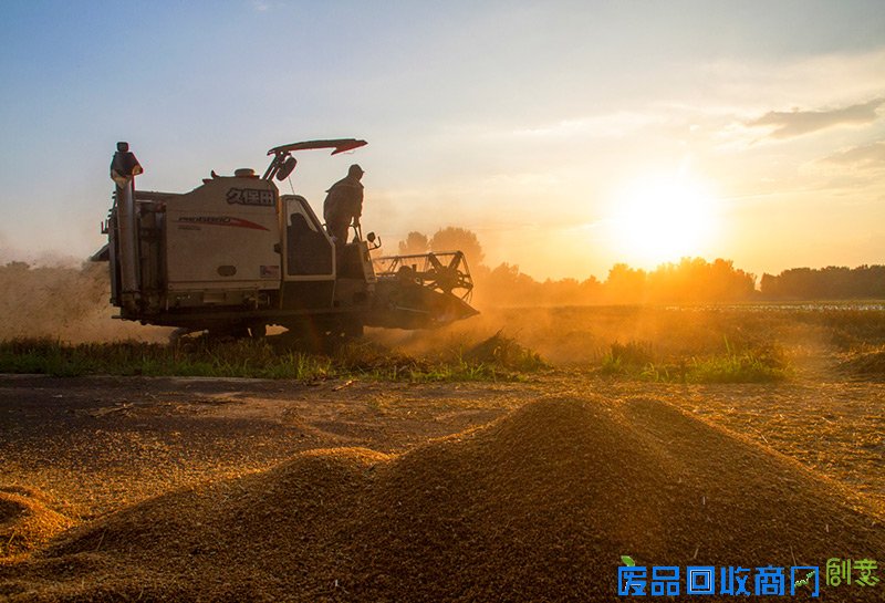 第六届“聚焦美丽乡村”摄影展部分作品欣赏：【风光一等奖】金色的希冀-王永新