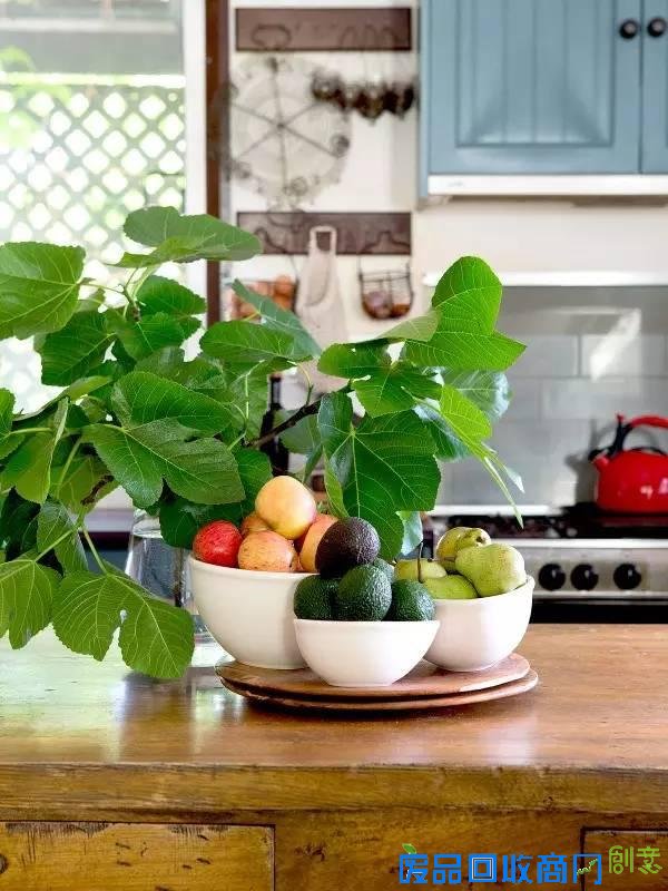 全家搬到方圆四十里没有人的荒野，到底图啥？