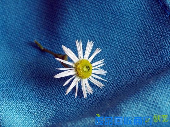 小技巧玩转摄影极简主义