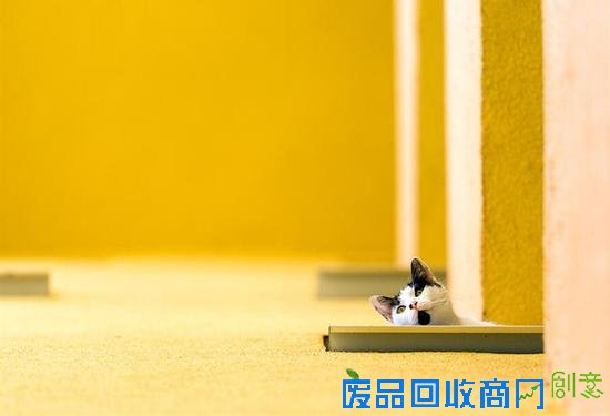 小技巧玩转摄影极简主义