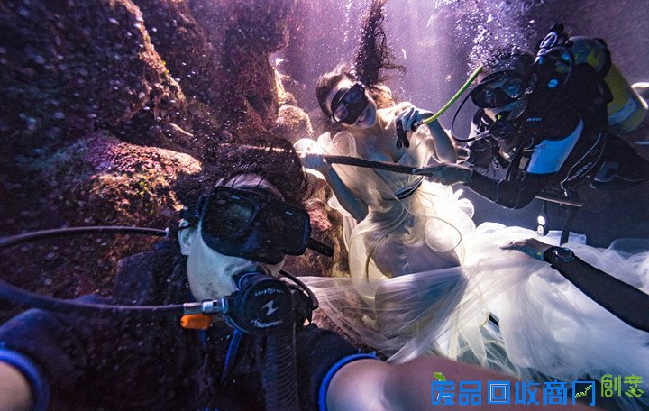 摄影师水下拍摄美女与鲨鱼和谐共舞画面