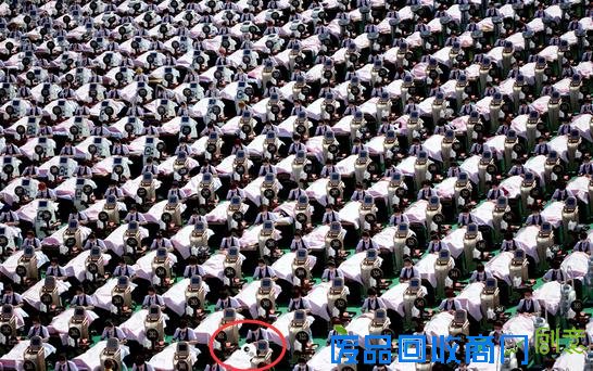 让眼瞎来的更彻底一点吧~找熊猫进化版图片来袭