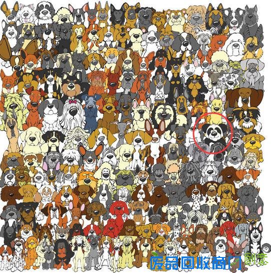 让眼瞎来的更彻底一点吧~找熊猫进化版图片来袭