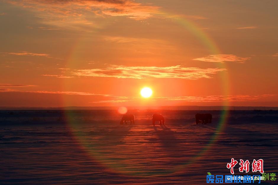中蒙边境雪海日出景象 唯美似画卷