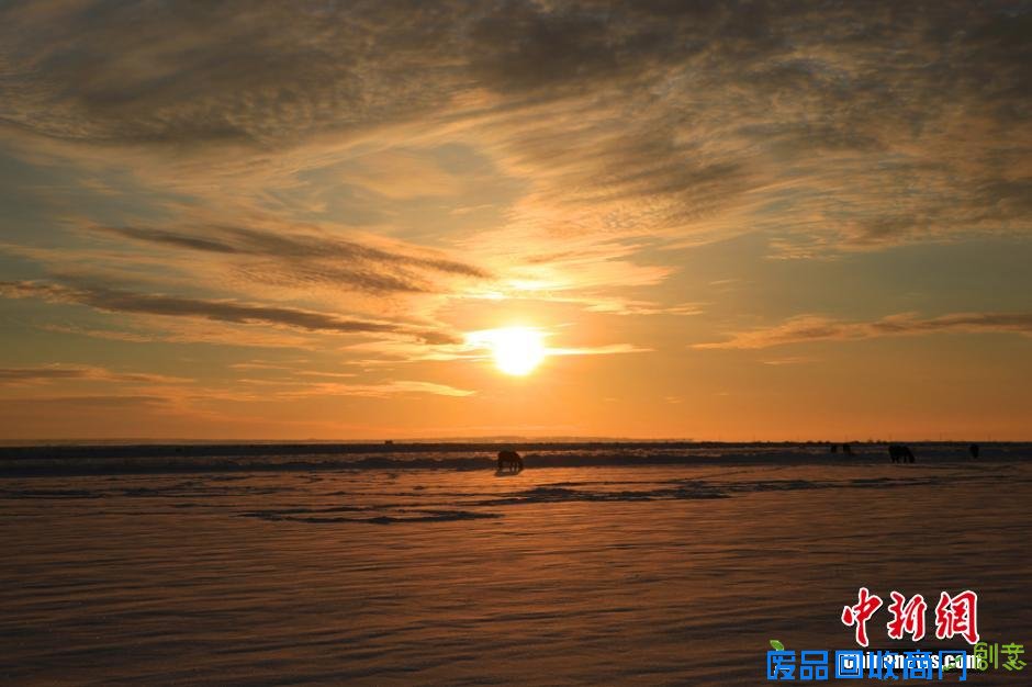 中蒙边境雪海日出景象 唯美似画卷