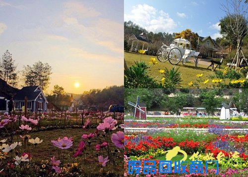 國家3A級景區梅州愛麗絲莊園23日起全年不休園開放