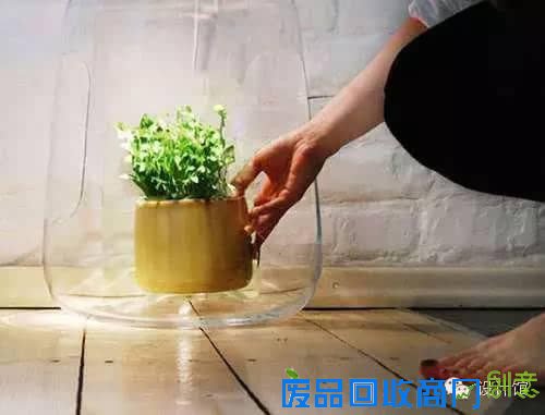 旧物diy改造成花盆的方法，太有用了！