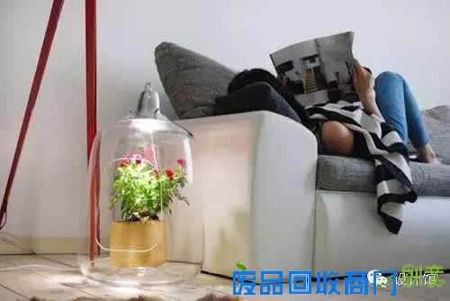 旧物diy改造成花盆的方法，太有用了！