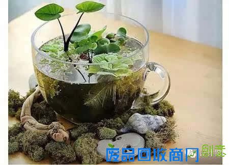 旧物diy改造成花盆的方法，太有用了！