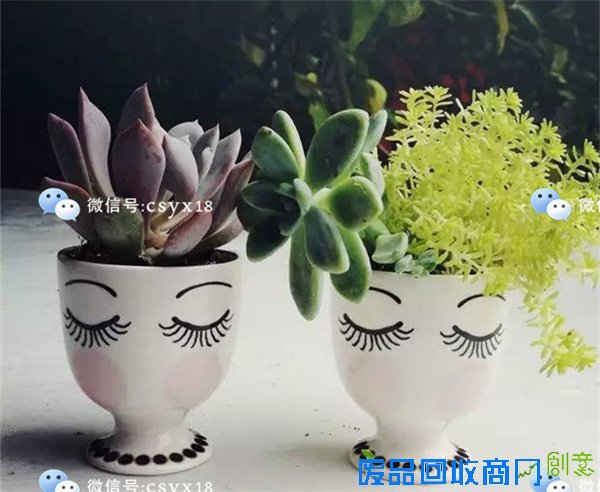 带小朋友一起用饮料瓶diy小花盆,把春天留在屋里