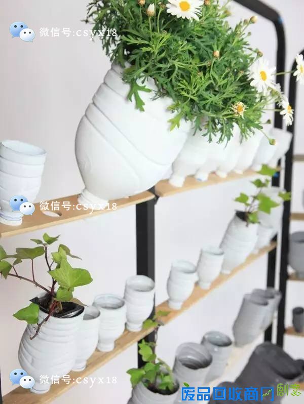 带小朋友一起用饮料瓶diy小花盆,把春天留在屋里