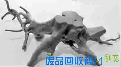 自制天然小花架