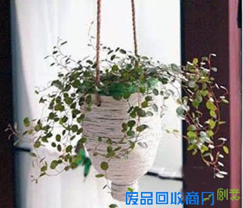 自制的花盆一个月才浇一次水，出差啥再也不怕了！