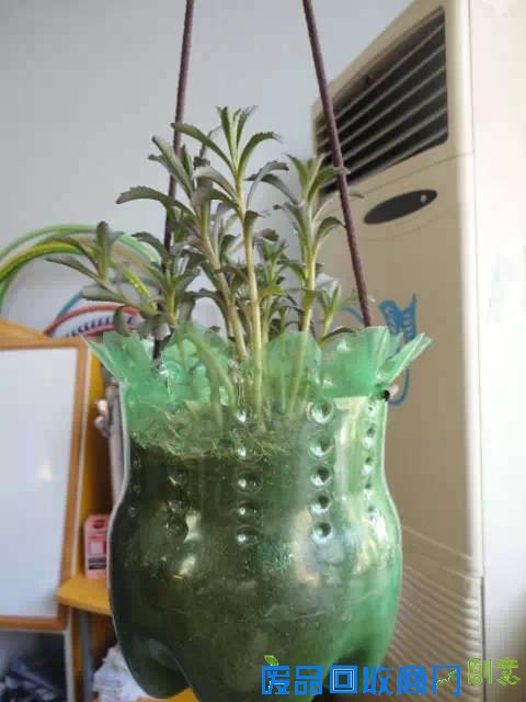 自制的花盆一个月才浇一次水，出差啥再也不怕了！