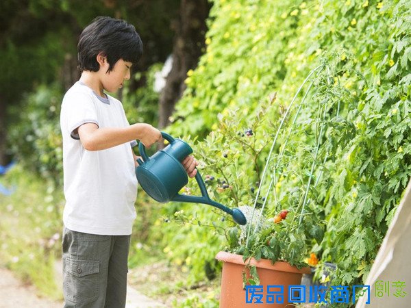 自制的花盆一个月才浇一次水，出差啥再也不怕了！