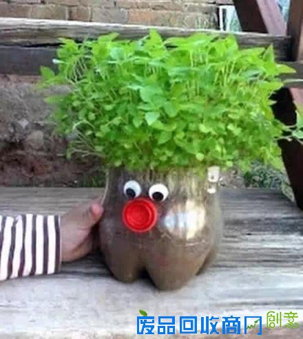 洗衣液瓶做成“花盆”，暑假做起来