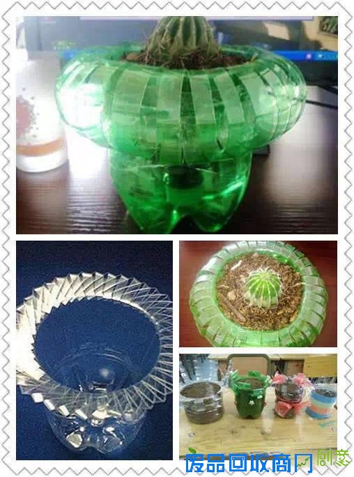 洗衣液瓶做成“花盆”，暑假做起来