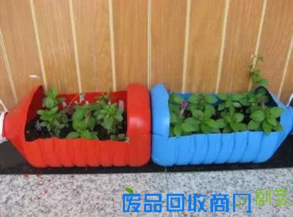 洗衣液瓶做成“花盆”，暑假做起来