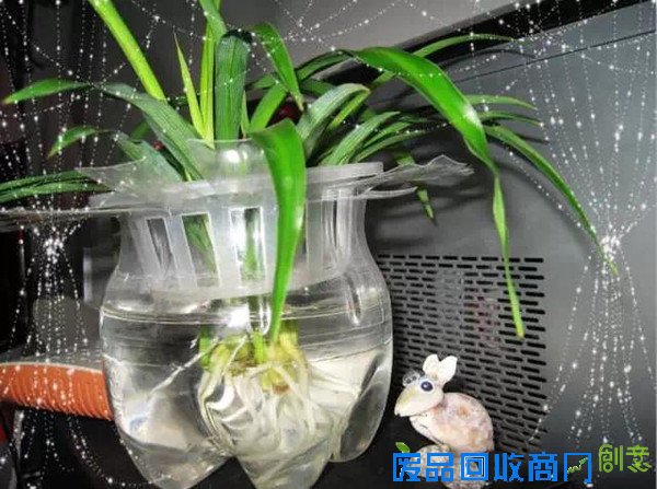 洗衣液瓶做成“花盆”，暑假做起来