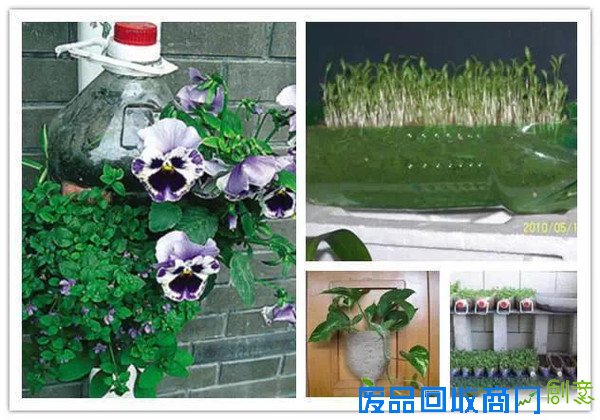 洗衣液瓶做成“花盆”，暑假做起来