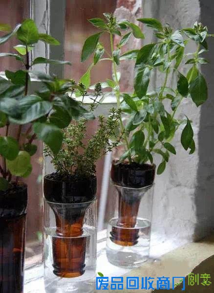 洗衣液瓶做成“花盆”，暑假做起来