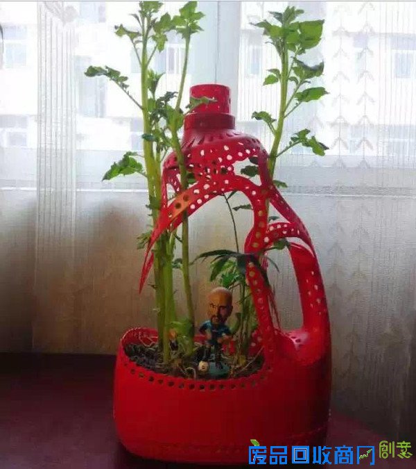 洗衣液瓶做成“花盆”，暑假做起来