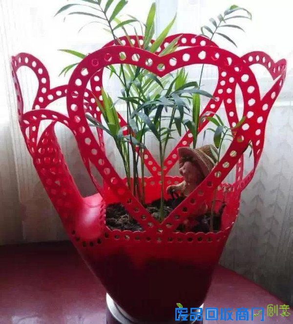 洗衣液瓶做成“花盆”，暑假做起来
