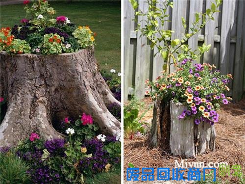 23个老树桩手工制作的美丽花盆，方法很简单