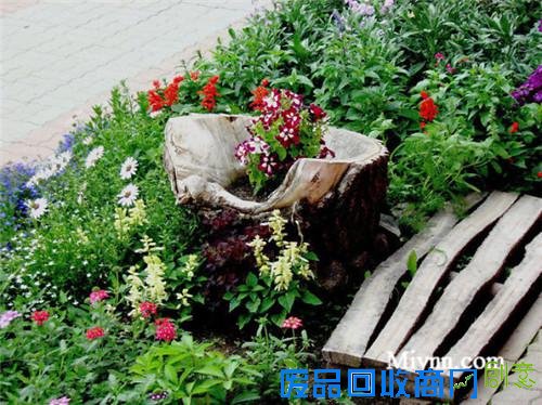 23个老树桩手工制作的美丽花盆,方法很简单