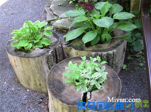23个老树桩手工制作的美丽花盆,方法很简单