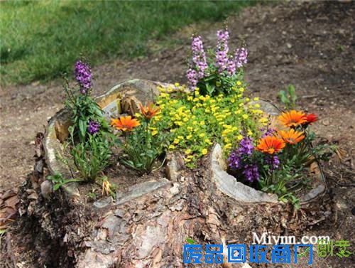 23个老树桩手工制作的美丽花盆,方法很简单