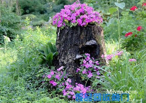 23个老树桩手工制作的美丽花盆,方法很简单
