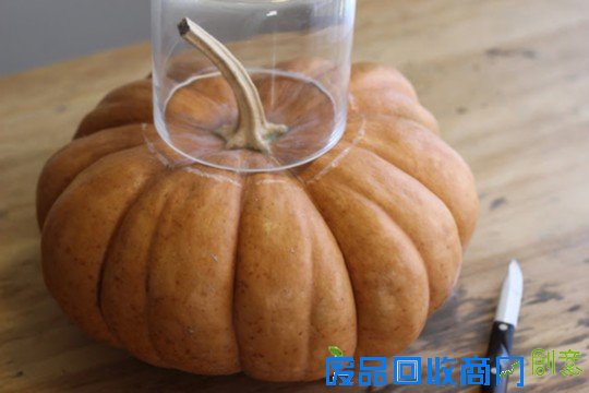 万圣节节日家居装饰——DIY南瓜花瓶插花