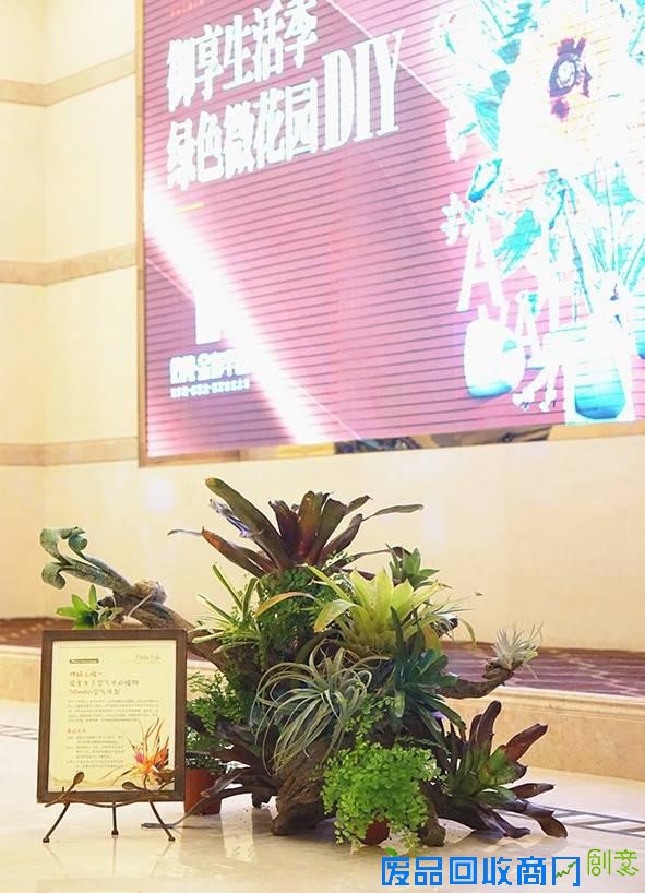 信义金御半山微花园DIY完美落幕 开启御享半山自然之旅