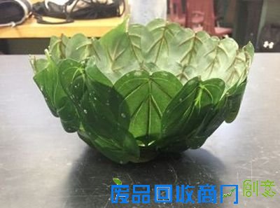 怎么利用树叶做一个绿色糖果盒小碗