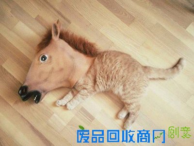 趣味测试:这辈子谁会与你生死与共