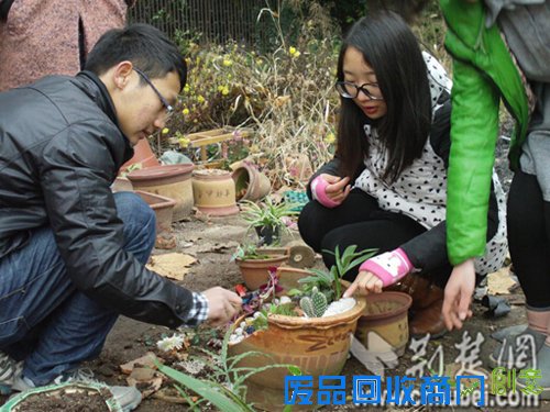 武汉生物工程学院学生用破花盆创作迷你园艺景观