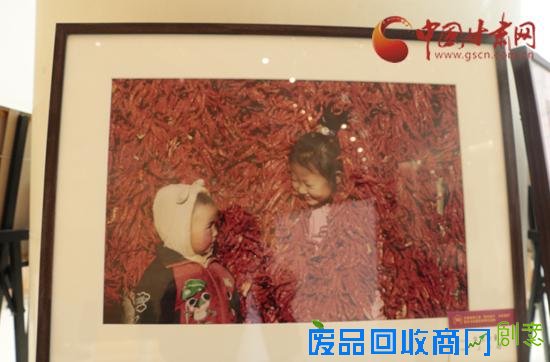 甘肃省第三届“精准扶贫 精准脱贫”摄影作品展出/组图
