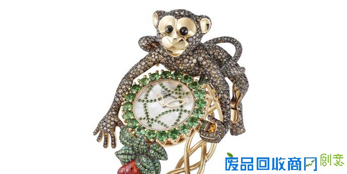 猴年未到 这几只生肖猴表先来讨彩头